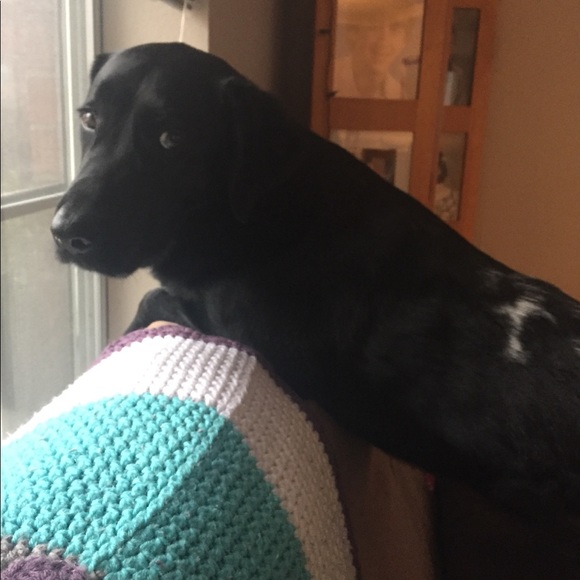 Meet your Posher, Kortne - Picture 3 of 7